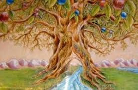 Find vectors of fruit tree. The Twelve Fruit Trees First Presbyterian Winter Haven