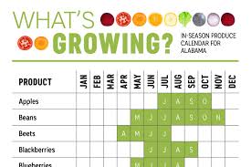 Whats Growing In Alabama Produce Calendar Infographic