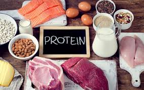 Saat menjalankan pola makan sehat, sangat disarankan untuk mengonsumsi makanan yang mengandung protein tinggi. Jenis Jenis Protein Pengertian Struktur Fungsinya Lengkap
