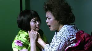 Journey of the Bonesetter's Daughter — DAVID PETERSEN Director/Writer