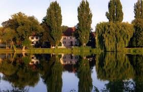 165 wohnungen in stendal ab 265 €. Wohnungen In Stendal Nahe Dem See Mietwohnungen Wohnung Mieten Wohnung