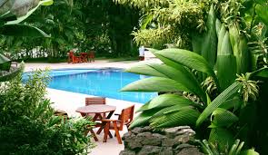 Hiding Pool Equipment With Landscaping Intheswim Pool Blog