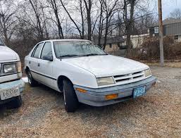 Image result for Black Cherry 1992 Shadow