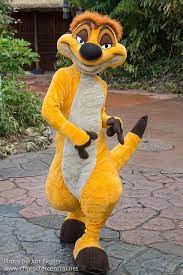 Dlp Feb 2014 Character Fun In Adventureland Disney World Characters Lion King Costume Disney Characters Irl