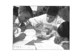 Unit 6 week 2 selection test grade 5 answer key. 6 Science Content Standards National Science Education Standards The National Academies Press