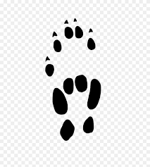 paw clipart house cat cat paw png stunning free transparent png clipart images free download flyclipart