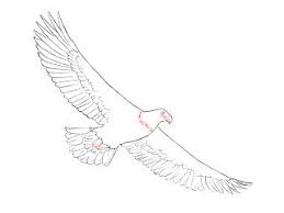 Birds Flying In The Sky Drawing Easy How To Draw An Eagle Draw Central Eagle Drawing Eagle Drawing Easy Fly Drawing