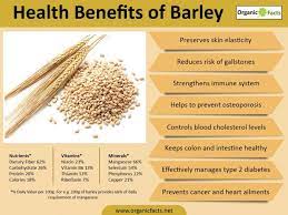 Barley water ranks high in the category of healthy beverages because it is loaded with essential nutrients. Health Benefits Of Barley The Spent Goods Company