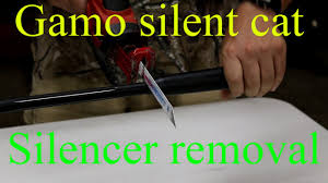 We did not find results for: Gamo Silent Cat Does This Silencer Even Work Pelletonix Youtube