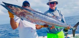 We did not find results for: Find Fishing Guides Charters