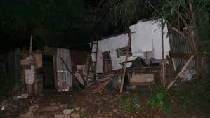 Kandang kambing adalah tempat aktifitas kambing ,seperti makan ,tidur,kencing,minum. Pelaku Diduga Profesional Sembelih 17 Kambing Tanpa Buat Kegaduhan