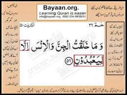وما خلقت الجن والإنس إلا ليعبدون. Learn Quran In Urdu Translation Word By Word Learning Surah 51 Ayat 56 Youtube