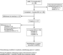 Although the percentage of cases in men is much lower than in women, male breast cancer accounts for a por. A Phase Ii Study Of Epirubicin Cisplatin And Capecitabine As Neoadjuvant Chemotherapy In Locally Advanced Or Inflammatory Breast Cancer European Journal Of Cancer
