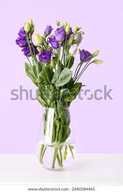 Image result for eustoma lisianthus in vase