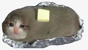 According to the latest data, 16 people were injured, one of the victims died in t. Cat Meme Png Images Free Transparent Cat Meme Download Kindpng