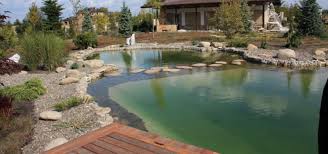 Swimming Pond Designs Ideas 240 Swimming Pond Natural Swimming Pools Pond Design