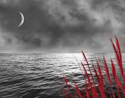 Black And White Art With Red Accents Pin On Etsy Artists