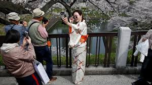 Di sini terdapat pohon sakura berumur lebih dari 1000 tahun dari jenis sakura merah dahan bergantung. Menikmati Bunga Sakura Tak Hanya Di Jepang Main Ke 4 Negara Ini Travel Tempo Co