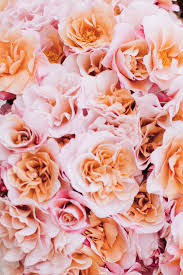 Image result for Dusty Rose 1962 Dart