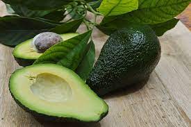 Avocado For Dogs Www Sassycleanersmd Com