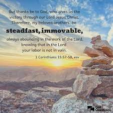 Pin On Bible Quotes