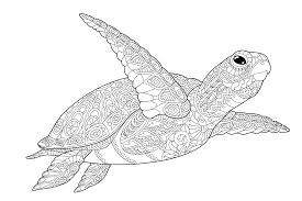 Kids n fun 26 kleurplaten van alfabet dieren kleurplaat moeilijk. Kleurplaat Schildpad 55 Leuke Kleurplaten Van Schildpadden