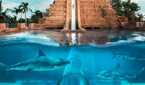 Malaysia airlines flight 370 (also known as mh370 or mas370) was a scheduled international passenger flight operated by malaysia airlines that disappeared on 8 march 2014 while flying from. Aquaventure Waterpark At Atlantis The Oberoi Dubai