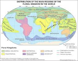 Biogeographic region | Definition, Features, Locations, & Facts | Britannica