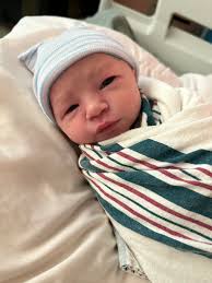 Newborn Puppies All Girls with Fun Theme