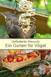 Wie Sie Die Gefiederten Freunde In Ihrem Garten Unterstutzen Konnen Erfahren Sie In Unserem Themen Spezial Garten Vogel Im Garten Mdr Garten
