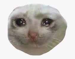 It is often used as a reaction image to represent feelings such as melancholy, regret or loneliness. Meme Quotes Memes Edgymemes Sad Cat Face Transparent Hd Png Download Transparent Png Image Pngitem