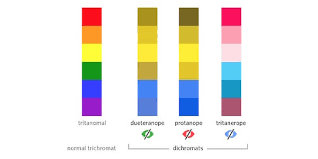 Did you know that boys are far more likely to be color blind than girls? How To Design For Color Blindness