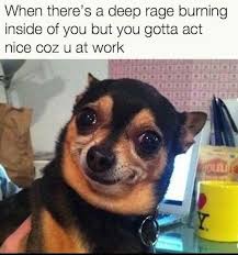 25 Mood Improving Memes For When You Re Having A Bad Day At Work Fairygodboss