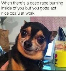 You need to take these real men as a role model and work tirelessly towards your goal in life—this tuesday is not for lazy people. 25 Mood Improving Memes For When You Re Having A Bad Day At Work Fairygodboss