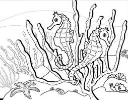 Year of the tiger coloring page. Get This Online Seahorse Coloring Pages 88361