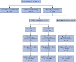 flow chart for the study of intraoperative parathyroid