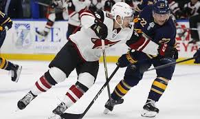 They have also lived in mesa, az and phoenix, az. Arizona Coyotes Recall Michael Bunting From Tucson