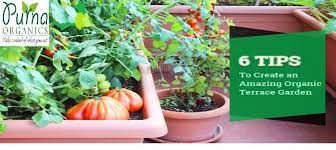 6 Tips To Create An Amazing Organic Terrace Garden Home Vegetable Garden India Christm Terraced Vegetable Garden Ideas Home Vegetable Garden Garden Ideas India
