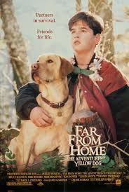 The player can choose to play as a male or female version of the breeder, and can name the breeder anything they choose. Far From Home The Adventures Of Yellow Dog 1995 Imdb