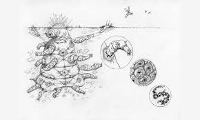 Proof Of Life What Evidence Would It Take To Convince You That Alien Intelligence Had Been Found Evolution Art Proof Of Life Theory Of Evolution