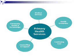 Johns hopkins home care group's private home support services include skilled nursing, daily living assistance and companion care. Primary Health Care Ppt Video Online Download