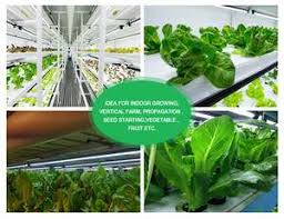 The overwhelming choice for most growers applying in grow tent, small room, cabinet & closet, and plant shelves. Etl Edj 10w Nano Led Tube Date Palm Tissue Culture Plants Hydroponic Microgreens Led Grow Lights For Plants