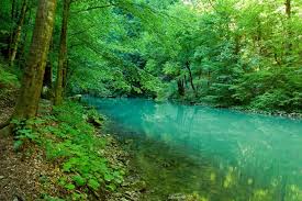 Risnjak national park is a national park in croatia. Risnjak National Park Croatia
