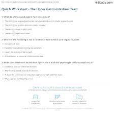 The small intestine is an organ of the digestive system that has the job of absorbing the nutrients and minerals from the food and liquid a person takes. Quiz Worksheet The Upper Gastrointestinal Tract Study Com