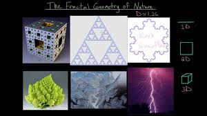 Image result for fractal