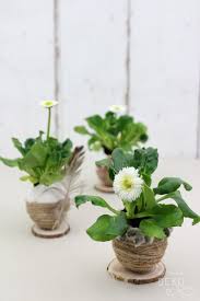 Diy Osterdeko Eierschalen Bekleben Und Bepflanzen Osterdeko Basteln Mit Naturmaterialien Ostern Und Osternest Basteln