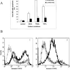 Optical materials has an open access mirror journal optical materials: Pdf Macrophages From Cancer Patients Analysis Of Trail Trail Receptors And Colon Tumor Cell Apoptosis