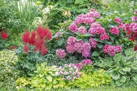 Check spelling or type a new query. 6 Plantes Colorees Pour Un Massif A L Ombre Detente Jardin