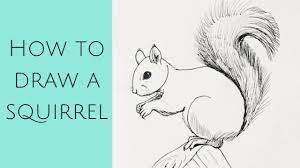 (step 13) draw an oval and a letter 'v' like shape on tips of feet. Beginners How To Draw A Squirrel Youtube