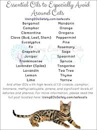 Is It Safe To Use Essential Oils With Cats Using Essential Oils Safely Are Essential Oils Safe Essential Oils Cats Living Essentials Oils